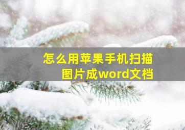 怎么用苹果手机扫描图片成word文档