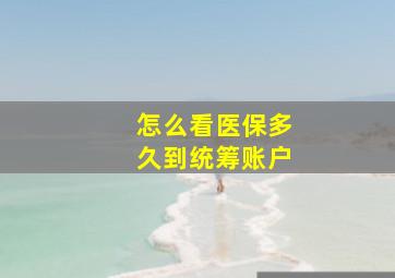 怎么看医保多久到统筹账户