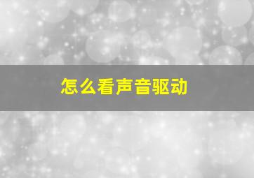 怎么看声音驱动