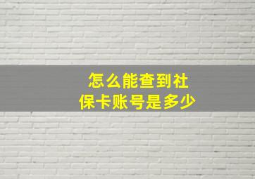 怎么能查到社保卡账号是多少