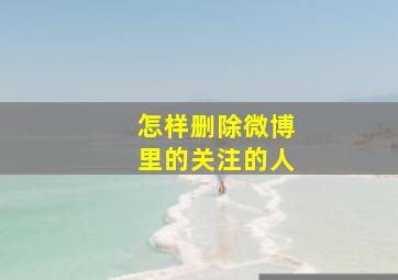 怎样删除微博里的关注的人