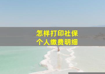 怎样打印社保个人缴费明细