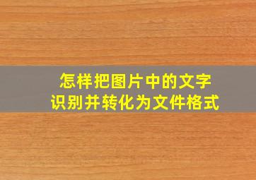 怎样把图片中的文字识别并转化为文件格式