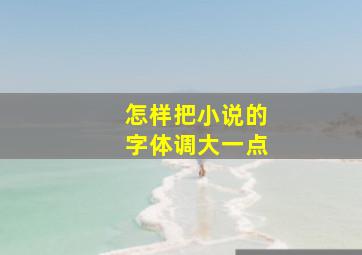 怎样把小说的字体调大一点