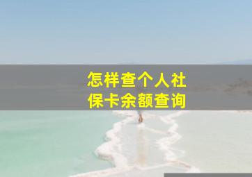 怎样查个人社保卡余额查询