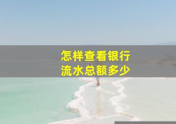 怎样查看银行流水总额多少