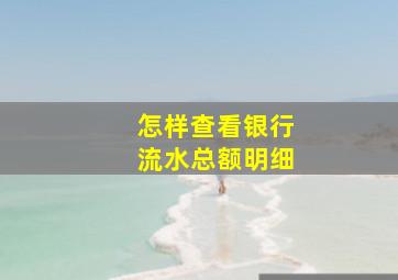 怎样查看银行流水总额明细