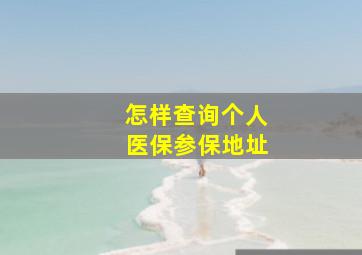 怎样查询个人医保参保地址