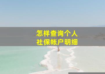 怎样查询个人社保帐户明细