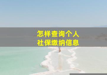 怎样查询个人社保缴纳信息