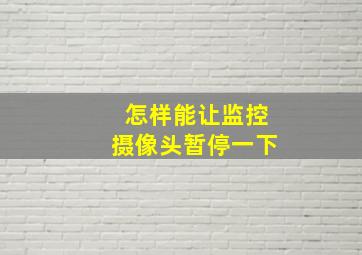 怎样能让监控摄像头暂停一下