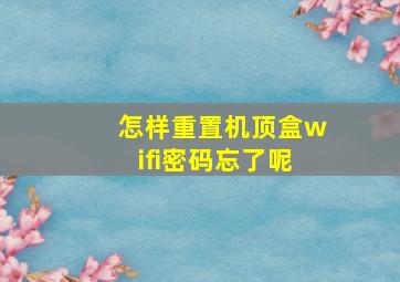 怎样重置机顶盒wifi密码忘了呢