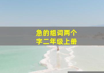 急的组词两个字二年级上册