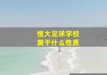 恒大足球学校属于什么性质