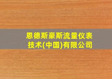 恩德斯豪斯流量仪表技术(中国)有限公司