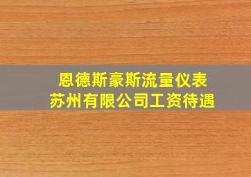 恩德斯豪斯流量仪表苏州有限公司工资待遇