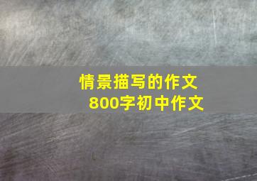 情景描写的作文800字初中作文