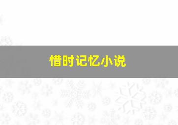 惜时记忆小说