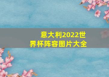 意大利2022世界杯阵容图片大全