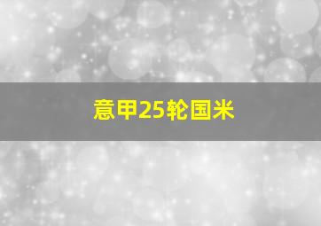 意甲25轮国米