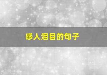 感人泪目的句子