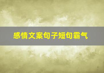 感情文案句子短句霸气