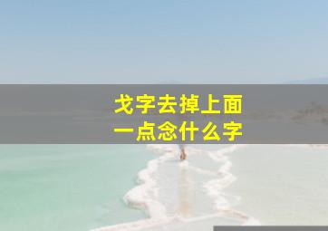 戈字去掉上面一点念什么字