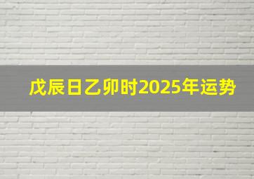 戊辰日乙卯时2025年运势