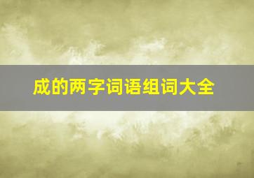 成的两字词语组词大全