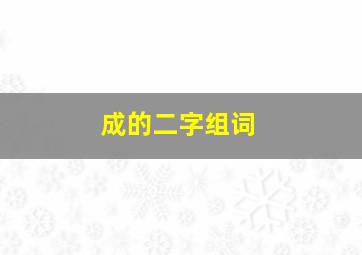 成的二字组词