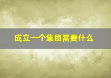 成立一个集团需要什么