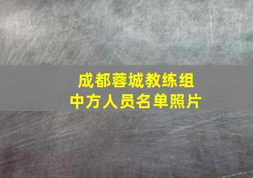 成都蓉城教练组中方人员名单照片