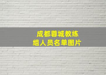 成都蓉城教练组人员名单图片