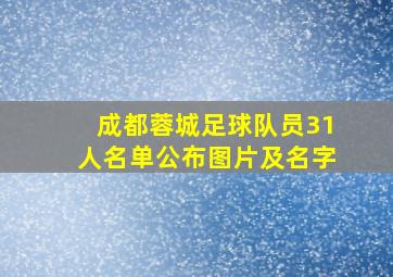 成都蓉城足球队员31人名单公布图片及名字