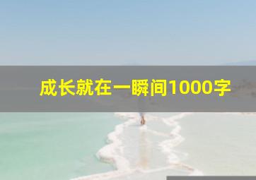 成长就在一瞬间1000字