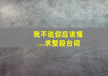 我不说你应该懂...求整段台词