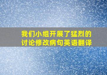 我们小组开展了猛烈的讨论修改病句英语翻译