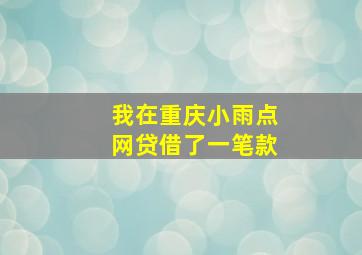 我在重庆小雨点网贷借了一笔款