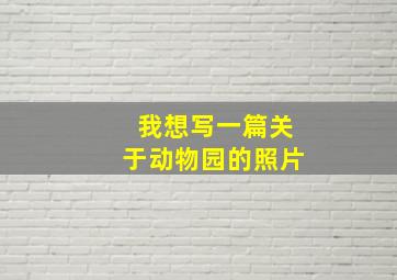 我想写一篇关于动物园的照片