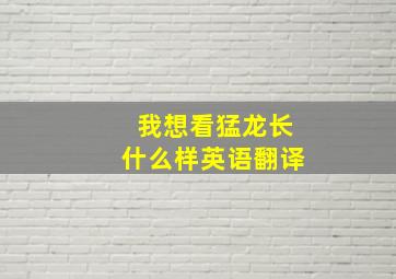 我想看猛龙长什么样英语翻译