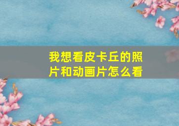 我想看皮卡丘的照片和动画片怎么看