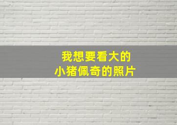 我想要看大的小猪佩奇的照片