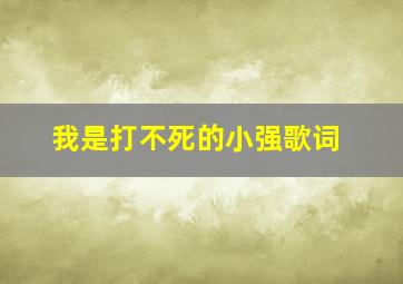 我是打不死的小强歌词