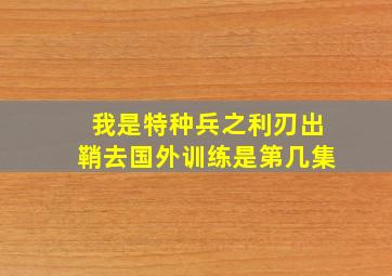 我是特种兵之利刃出鞘去国外训练是第几集