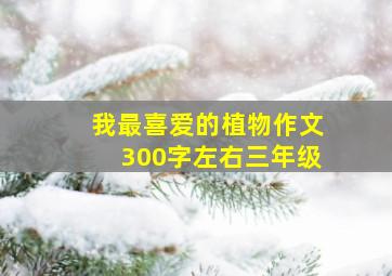 我最喜爱的植物作文300字左右三年级