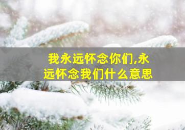 我永远怀念你们,永远怀念我们什么意思