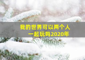 我的世界可以两个人一起玩吗2020年