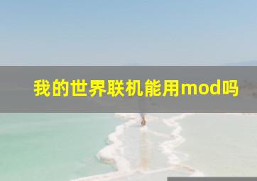 我的世界联机能用mod吗