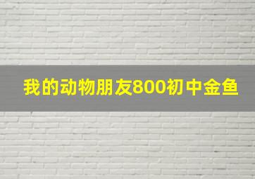 我的动物朋友800初中金鱼