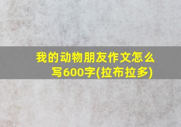 我的动物朋友作文怎么写600字(拉布拉多)